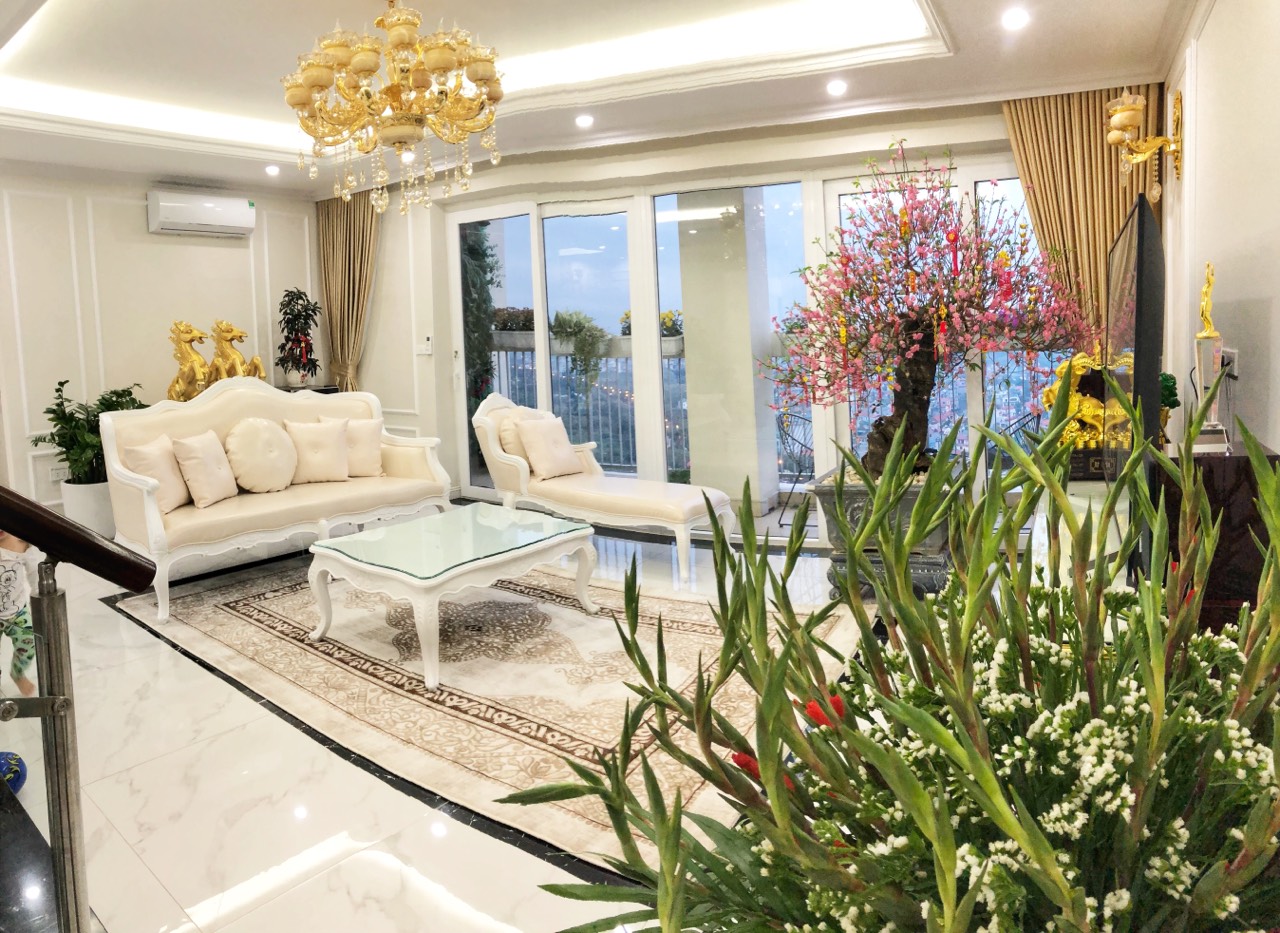 Bán căn hộ penthouse khu Rừng Cọ , Ecopark 1