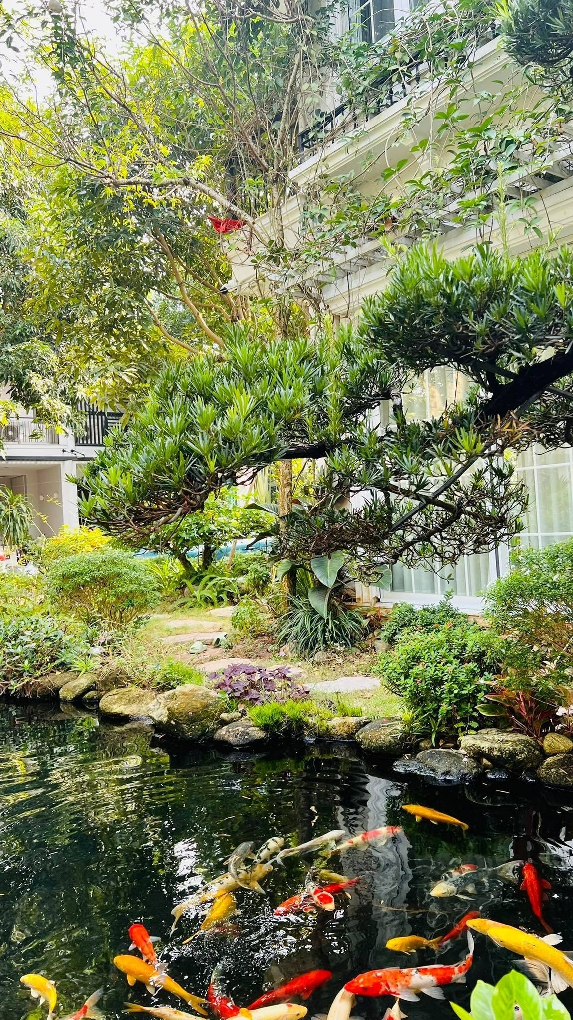 Biệt thự sân vườn rộng tại Park river cho thuê 3