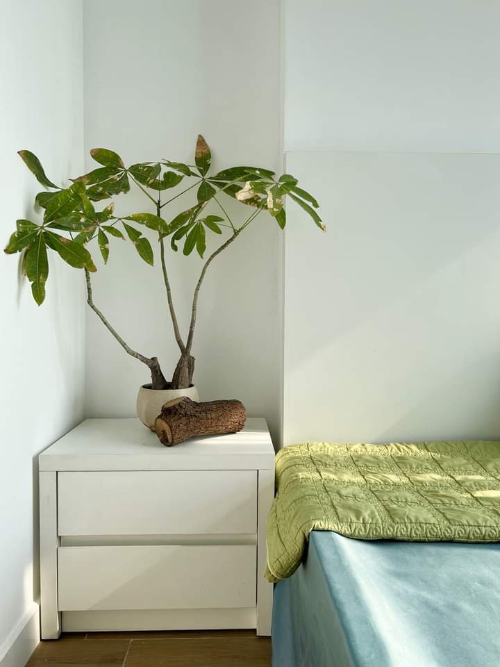 CẦN BÁN CĂN HỘ 65M2,2PN,ĐỦ ĐỒ BÊN TÒA WESBAY ECOPARK,HƯNG YÊN 6