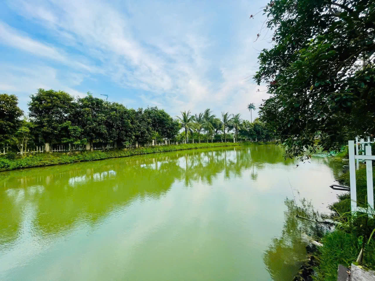 Căn Biệt Thự Đơn lập sân vườn rộng, cạnh sông,full đồ bên Vinhomes Riverside long biên cho thuê 5