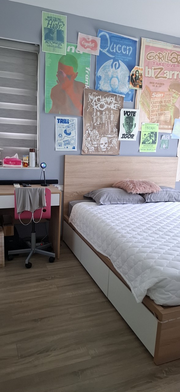 CẦN CHO THUÊ CĂN BIỆT THỰ SONG LẬP ĐỦ ĐỒ BÊN MIMOSA ECOPARK 8