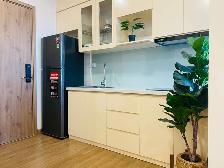 CĂN HỘ 40M2,1PN,ĐỦ ĐỒ BÊN TÒA S2 SKY OASIS ECOPARK CHO THUÊ 1