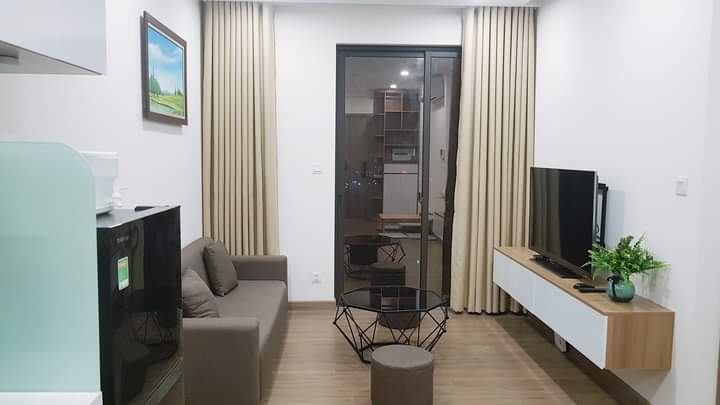 căn hộ 52m2,2pn,1wc,đủ đồ bên tòa sky oasis ecopark cho thuê 1