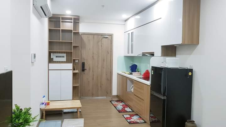 căn hộ 52m2,2pn,1wc,đủ đồ bên tòa sky oasis ecopark cho thuê 2