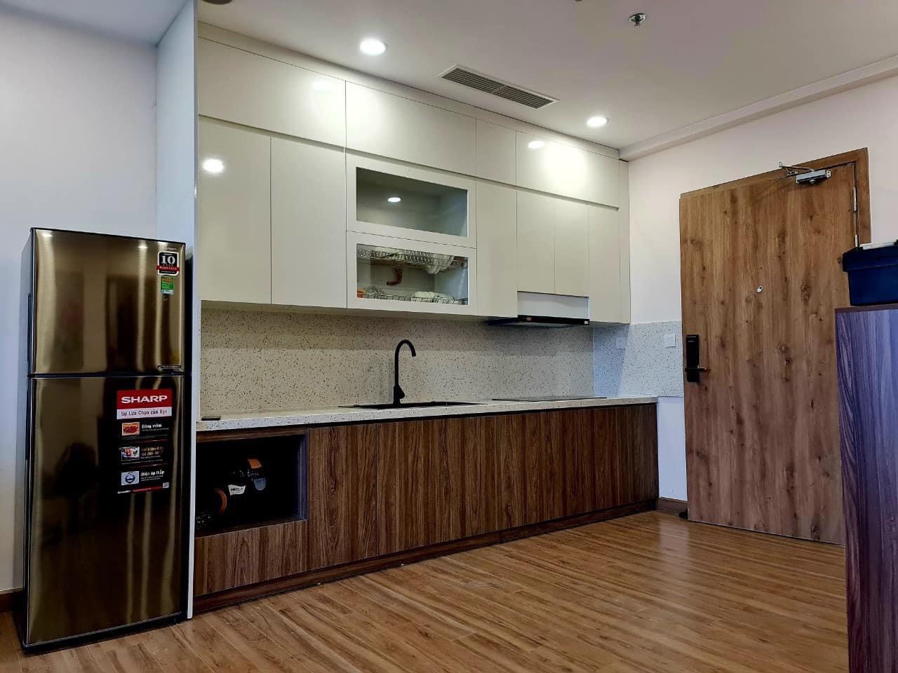 căn hộ 60m2,2pn,đủ đồ bên tòa SP sky oasis ecopark cho thuê 1