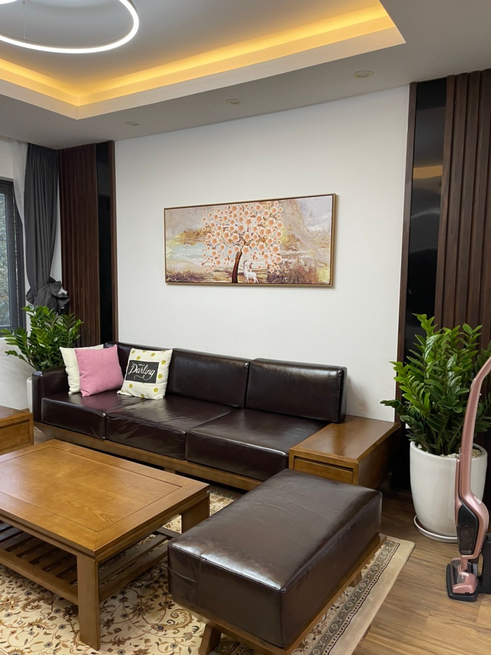 Chính chủ gửi bán căn nhà phố bên Thảo nguyên KĐT Ecopark- Hưng yên. 2