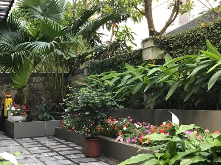 CHO THUÊ BIỆT THỰ SÂN VƯỜN 230M2 ,4PN,ĐỦ ĐỒ BÊN MIMOSA ECOPARK, HƯNG YÊN 6
