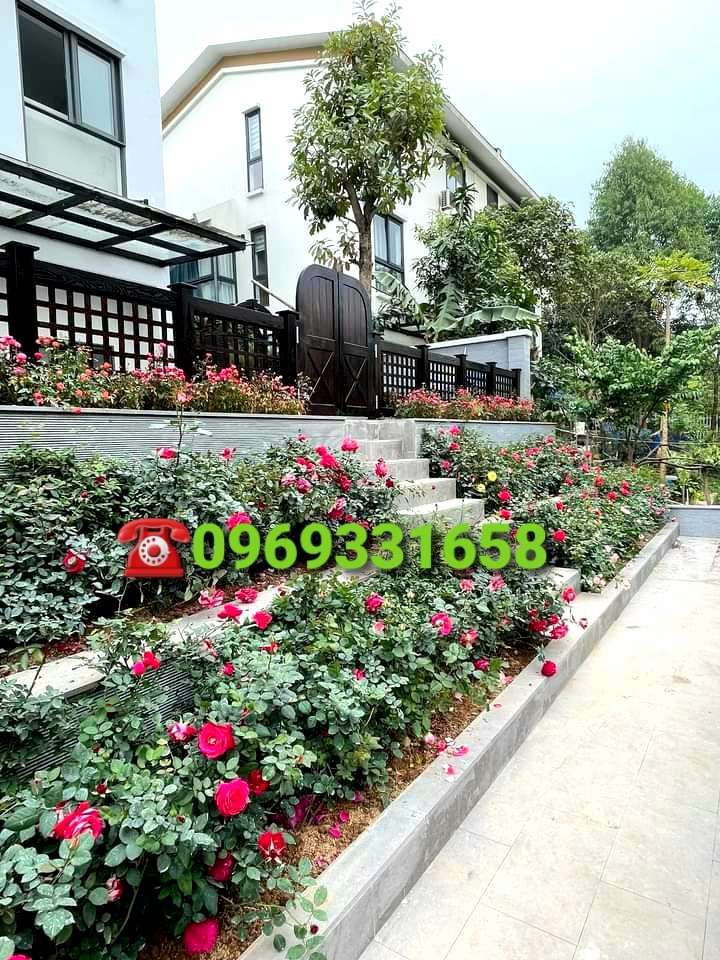 CHO THUÊ BIỆT THỰ SÂN VƯỜN ,FULL NỘI THẤT CAO CẤP BÊN ECOPARK 5