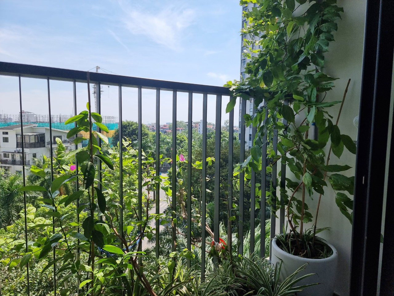 Cho thuê căn hộ 2 phòng ngủ tại westbay C ecopark 4