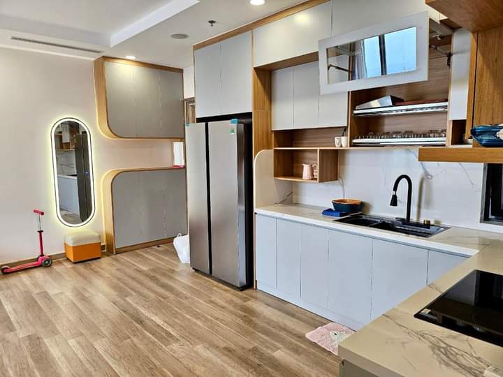 Cho thuê căn hộ 3 phòng ngủ nội thất đẹp tại tòa SO1 3