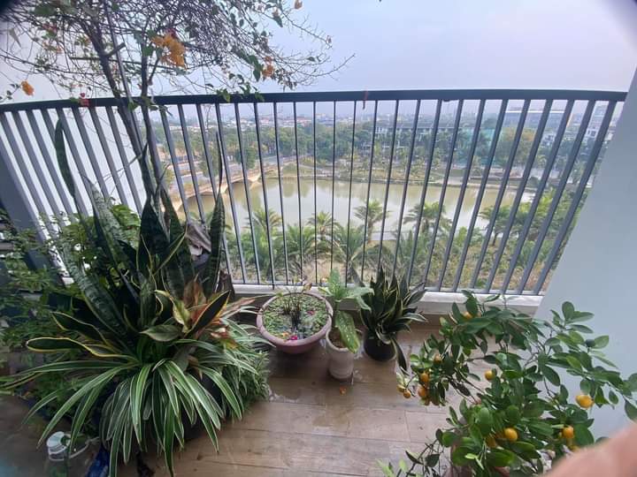 cho thuê căn hộ 69m2,2pn,đủ đồ bên sky3 ecopark,hưng yên 3