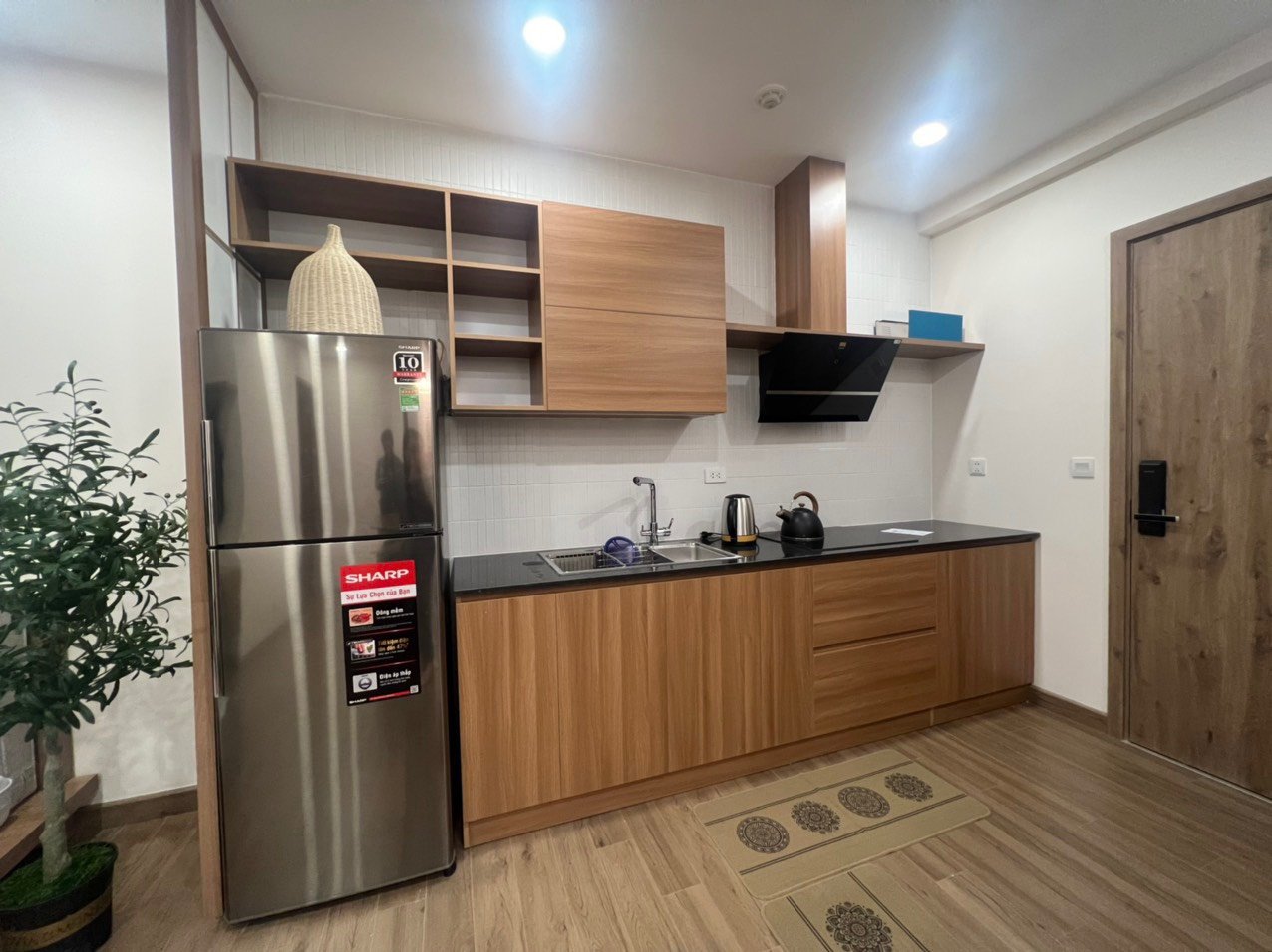 CHO THUÊ CĂN HỘ 75M2,2PN,ĐỦ ĐỒ BÊN TÒA S3 SKY OASIS ECOPARK, HƯNG YÊN 3