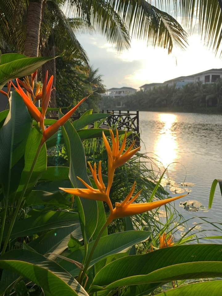 CHỦ NHÀ GỬI CHO THUÊ CĂN BIỆT THỰ SÂN VƯỜN,ĐẦY ĐỦ ĐỒ BÊN KHU BT ĐẢO ECOPARK 8