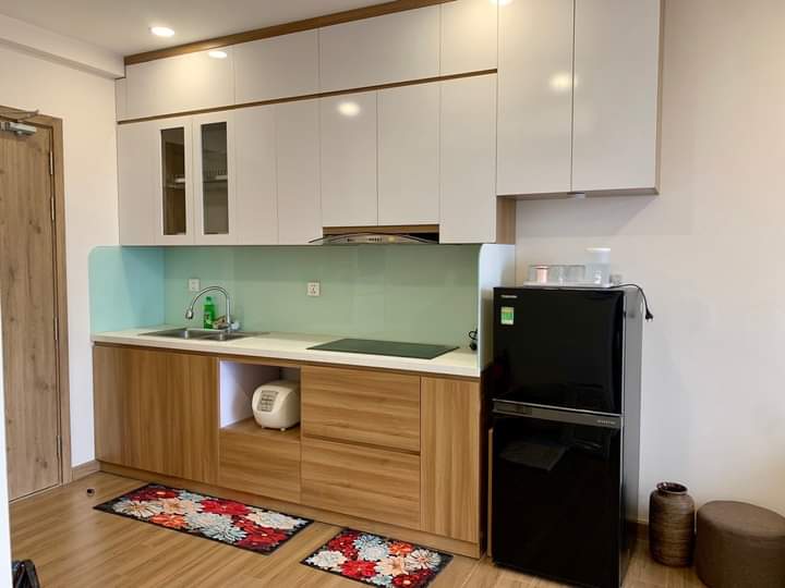 căn hộ 52m2,2pn,1wc,đủ đồ bên tòa sky oasis ecopark cho thuê