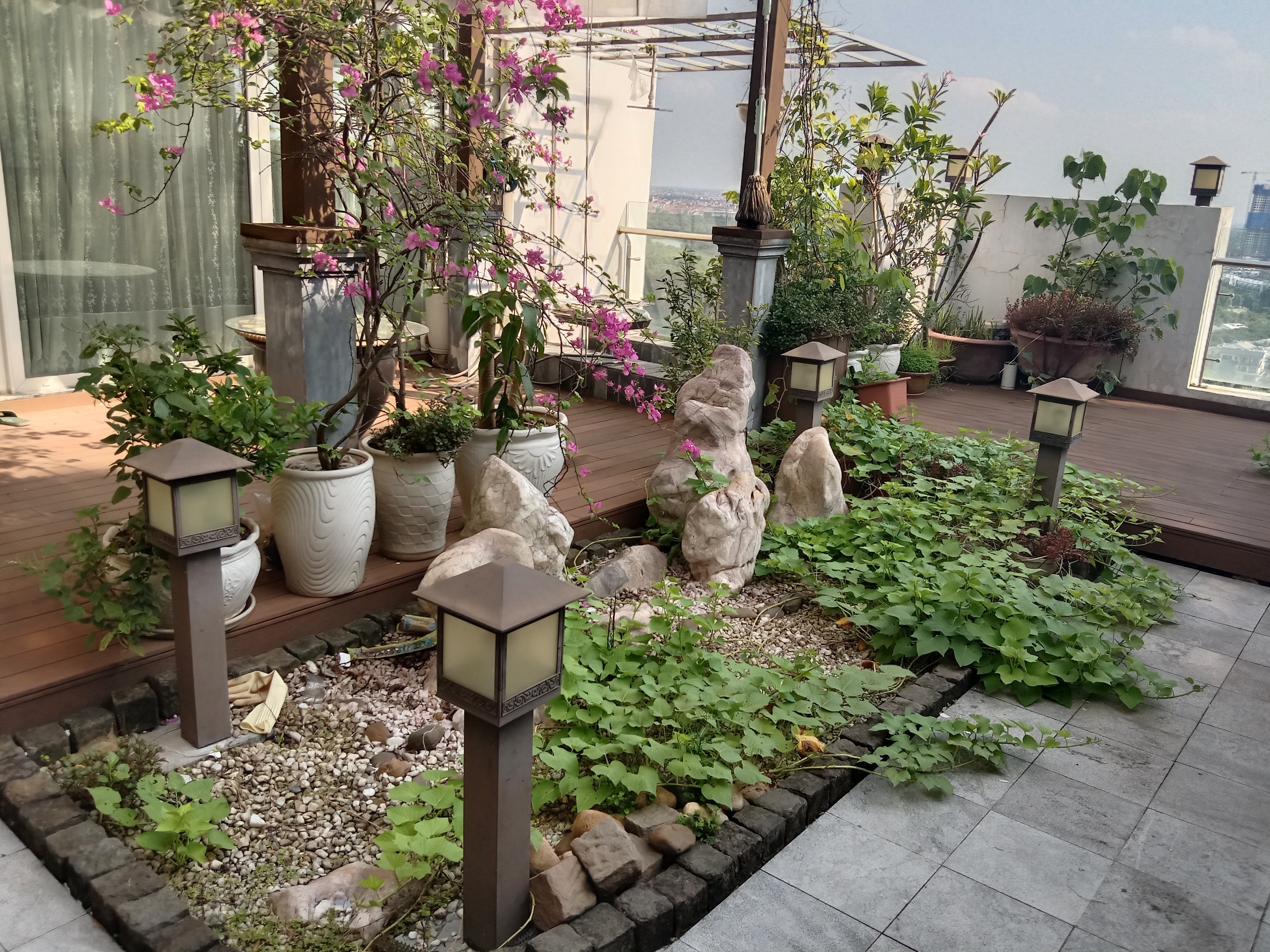 Cho thuê căn hộ Pent-house chung cư Rừng Cọ