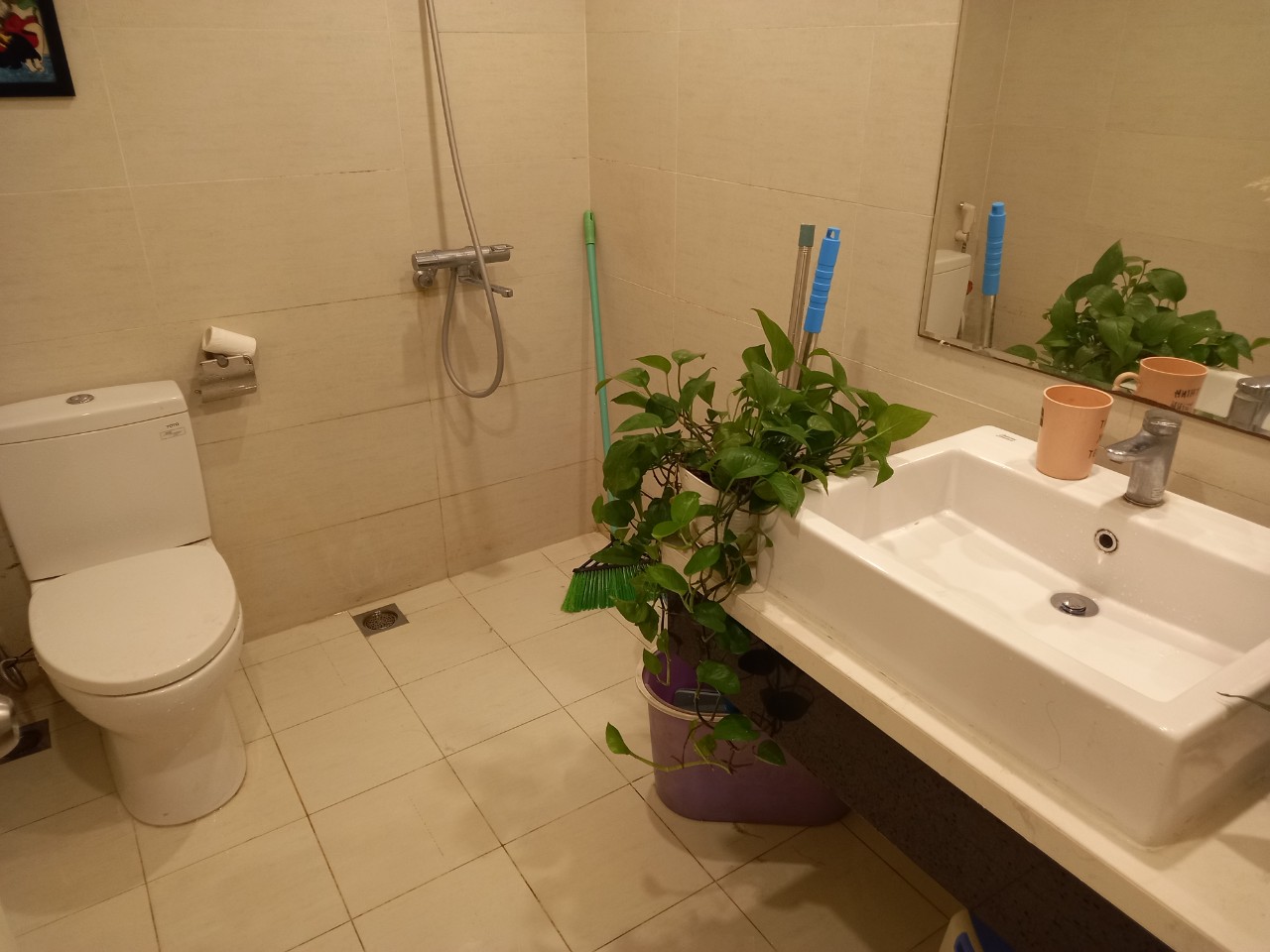 Nhà phố Thủy Nguyên cho thuê tầng 2,3 và 4 7