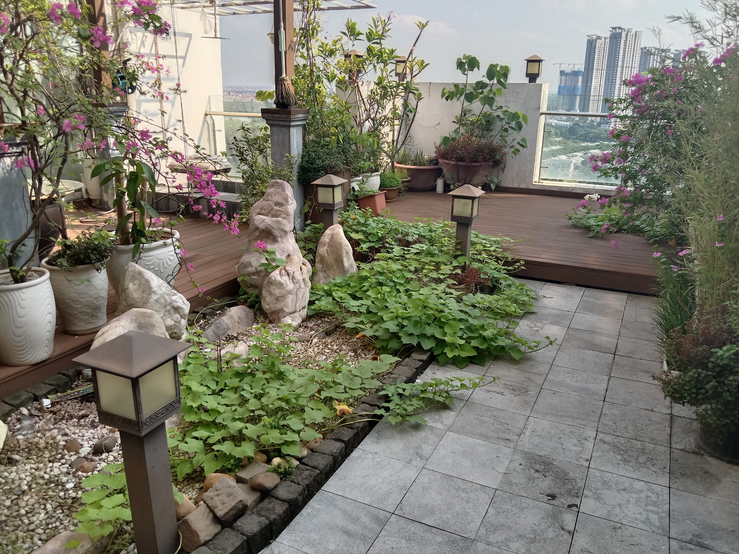 Cho thuê căn hộ Pent-house chung cư Rừng Cọ